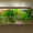 Продаются фитокартины с экзотическими растениями и цветами.Производства Голланди - Изображение #7, Объявление #1388320