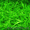 Системы автополива и капелярного орошения газонов, парников, теплиц, агропромышл - Изображение #1, Объявление #1400764