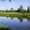 База отдыха в лесу у реки рядом с Бобруйском - Изображение #5, Объявление #1448821