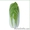 Семена пекинской капусты  KS 374 F1 (Китано) #1466404