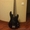 Продам Fender Silvertone Bass - Изображение #1, Объявление #1481017