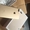 Apple, iPhone 4G 7 Plus Phone (256GB, серебро) - Изображение #3, Объявление #1506018