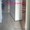 метро Минор дипломатический сервис 3-х комнатная на 2 м этаже 9 ти этажного дома - Изображение #3, Объявление #1536706