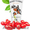 Крем для лица с ягодами Годжи  - Изображение #3, Объявление #1555276