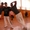 Индивидуальное обучение Латиноамериканским танцам, (сальса, самба, бачата, и.т - Изображение #2, Объявление #1601392