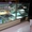 Холодильники торговые, витрины холодильные в Ташкенте на заказ. Изготовим кондит - Изображение #2, Объявление #1637176