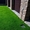 Газоны Мы предлагаем Вам качественный посев газонной травы таких известных произ #1647487