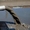 Очистные Сооружения, Очистительная установка сточных вод(УСВ)- Узбек - Изображение #3, Объявление #1708900