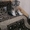 Шотландская вислоухая кошка - Изображение #4, Объявление #1711681