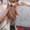 Клубные щенки Акиты-ину - Изображение #4, Объявление #1714824