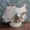 Статуэтка рыба Карп с водорослями позолоченная  - Изображение #2, Объявление #1727550