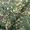 Армитек 190 Рипстоп - Изображение #3, Объявление #1737233
