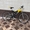 Американский горный велосипед Rhino / Amerikalik tog'li velosiped #1743009