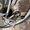 Американский горный велосипед Rhino / Amerikalik tog'li velosiped - Изображение #4, Объявление #1743009