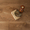 Паркетная доска Bonnard от Coswick ( Канада-Беларусь ) - Изображение #4, Объявление #1743747