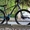 велосипед phillips mtb BMZ 29 колеса  - Изображение #5, Объявление #1745101