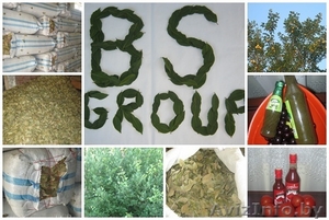 bsgroup LTD высококачественные продуктыи из Грузии - Изображение #1, Объявление #716383
