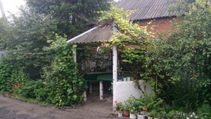 Продам дом в Белгородской области - Изображение #2, Объявление #1535781