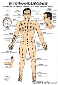 Обучение Йога-массажу, массажу Шиацу - Изображение #1, Объявление #246399
