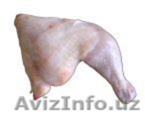 Куриные окорочка,куры из Польшы - Изображение #1, Объявление #335237