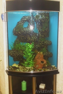 Продаю новый видовой аквариум - Изображение #1, Объявление #365832