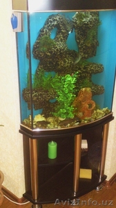 Продаю новый видовой аквариум - Изображение #2, Объявление #365832