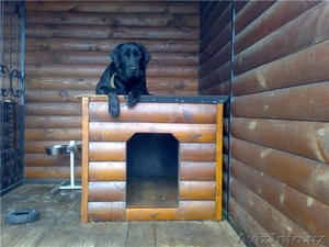 Дом для собачки. Будка, конура, хоромы, на заказ - Изображение #5, Объявление #558605