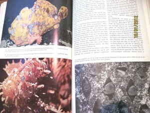 Книга о подводном животном мире - Изображение #1, Объявление #519539