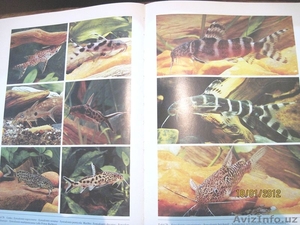 Энциклопедия аквариумных рыб - Изображение #2, Объявление #476677