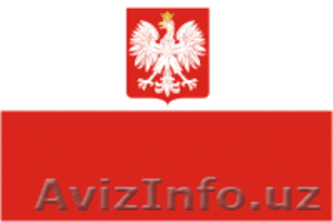 Частное Польское Кадровое агентство - Изображение #1, Объявление #606892