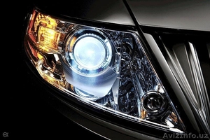 Автозапчасти из оаэ по оптовым ценам