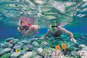 Большой Барьерный риф - величайшее чудо Австралии!  - Изображение #1, Объявление #903693