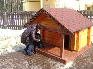 Дизайнерские мини-домики, будки для собак. Это иметь, КРУТО.! - Изображение #10, Объявление #924645