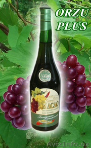 Эклюзивный подарок от «ORZU PLUS» для Вас натуральное Масло виноградное - Изображение #1, Объявление #938543