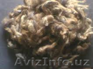 предлагаем из Узбекистана каракулевую шерсть  - Изображение #1, Объявление #1062895