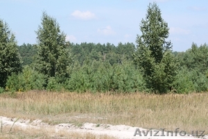 Продажа земельного участка, Украина - Изображение #5, Объявление #1058939