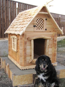 Дом-будка для собаки 909409048 Эксклюзив. Сделано в Ташкенте - Изображение #9, Объявление #662078