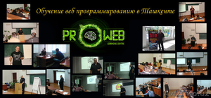  Индивидуальное обучение созданию сайтов в Ташкенте - Изображение #1, Объявление #1280120