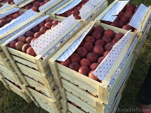 Яблоки крепсон, отборные - Изображение #3, Объявление #1351085