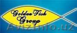  ООО  "GOLDEN  FISH  GROUP "  - Изображение #1, Объявление #1356306