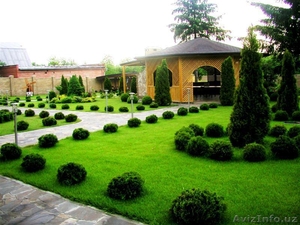 Озеленение за 1 день в Ташкенте,Газоны!Ландшафтный дизайн Недорого.  - Изображение #2, Объявление #1372253