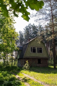 База отдыха в лесу у реки рядом с Бобруйском - Изображение #4, Объявление #1448821