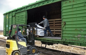 Перевозки импортно-экспортных грузов в/из Узбекистан  - Изображение #4, Объявление #1447461