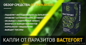Капли от паразитов «Bactefort» (Бактефорт) купить в Ташкенте. - Изображение #2, Объявление #1530480