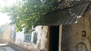 Продам дом с участком в Ташкенте, СРОЧНО! - Изображение #10, Объявление #1579099