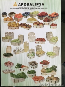 Линию Corali для производства евро-тары, эко-упаковки (Италия)  - Изображение #1, Объявление #1582175