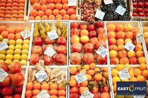 East-fruit.com приглашает к сотрудничеству участников плодоовощного рынка - Изображение #1, Объявление #1635427