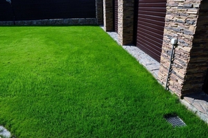 Газоны Мы предлагаем Вам качественный посев газонной травы таких известных произ - Изображение #1, Объявление #1647487