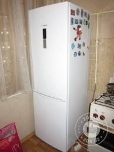 Куплю холодильники,газ плиты,морозильники и кондиционеры.986-89-44 - Изображение #1, Объявление #1685104