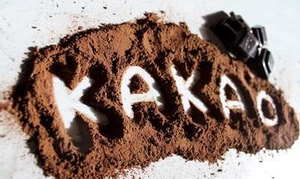 Alkalized Cocao Powder/ Алкализированный порошок какао - Изображение #2, Объявление #1691107